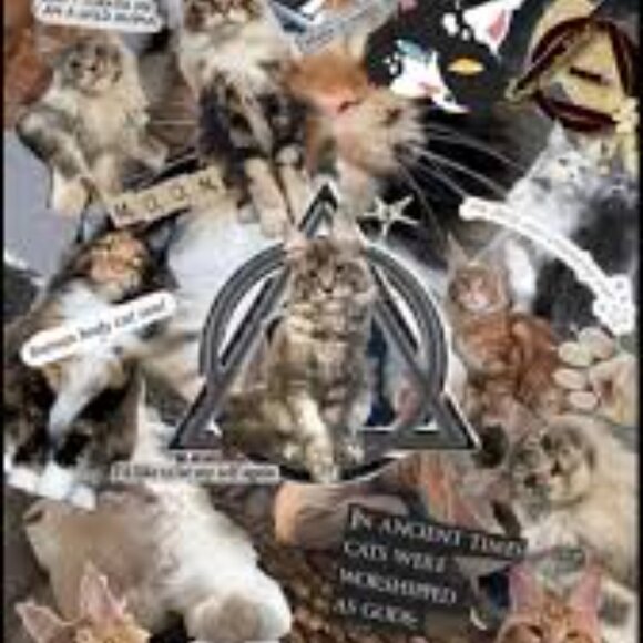 Meet your Posher, Ash - Picture 4 of 6